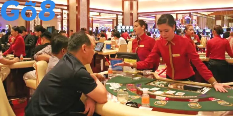 Người chơi casino phân tích chiến thuật ảo